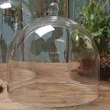 Glass Dome Glass Cloche Garden Decor
