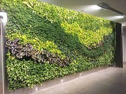 artificial wall plant