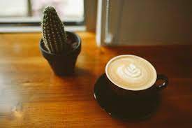 It's 2020 and coffee shops are expected to have wifi, but many coffee shops are careless with how they set it up. Best Coffee Wifi In Silicon Valley Vegan Travel Lifestyle We The Wildflowers