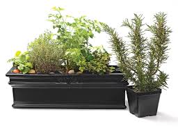 How To Grow A Container Herb Garden