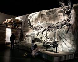 royal tyrrell museum of palaeontology
