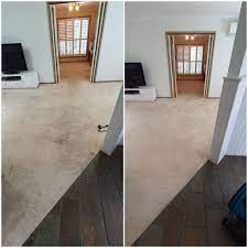 carpet cleaning brisbane pet odour