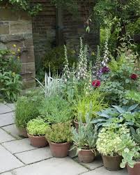 Small Gardens And Potted Plants