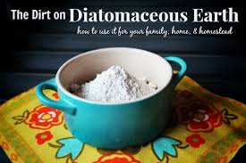 how to use diatomaceous earth the