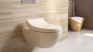 Curved Seat And A Wall Mounted Toilet