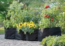 Grow Bags In Small Spaces