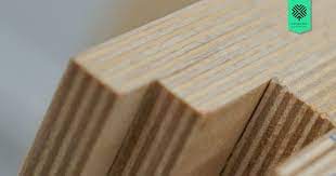 guide to baltic birch plywood main
