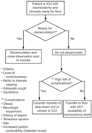 Tracheostomy Tubesdiscussion Respiratory Care