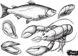 Image result for images of fish and lobster clip art