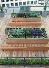 Rooftop Garden Design Ideas Tips To