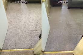 professional carpet cleaning with