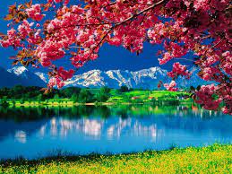 4100 nature wallpapers wallpapers com