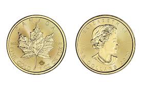 maple leaf 1 oz gold coin gold