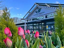 avenue nurseries garden centre alton