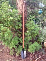 Planting Spade Long Handle