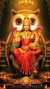 White Owl in Kashi Vishwanath Dham