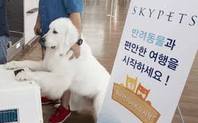 flying with pets korean air