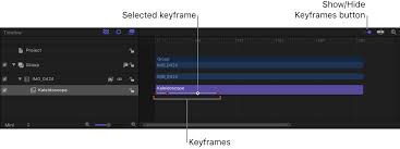 view keyframes in the timeline in