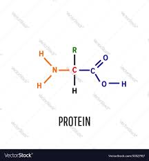 protein structural chemical formula and