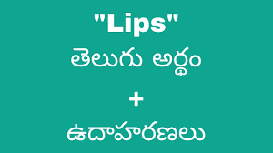 lips meaning in telugu with exles