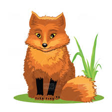 cute fox cartoon photo 912 pngfile
