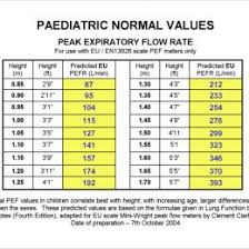 Peak Flow Meter Chart Child How To Use A Peak Flow Meter