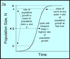 basics of exponential growth