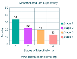 Treatment options for stage 4 mesothelioma. Mesothelioma Treatment And Prevention