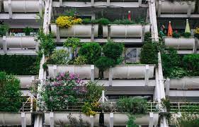Grow A City Vegetable Garden