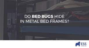 do bed bugs hide in metal bed frames