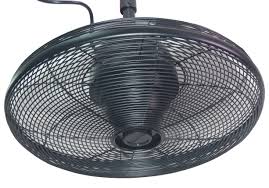 black indoor outdoor ceiling fan