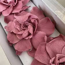 Preserved Gardenia Roses Dusky Pink