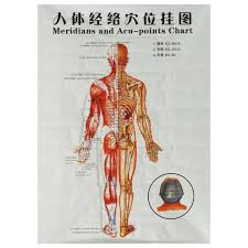 Details About Chinese Medicine Body Acupuncture Points Meridians And Acupoints Chart Map Chart