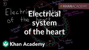 Electrical System Of The Heart Video Khan Academy