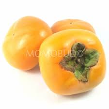 anese fuyu persimmon um plus