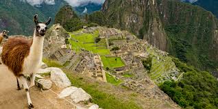 Peru, officially the republic of peru (spanish: Interesting Facts About Peru That You Might Not Know Gvi Usa
