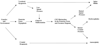 A Simplified Flow Diagram Illustrating The Causes Of Sp Open I