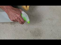get coffee stains out of white carpet
