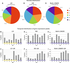 Analysis Of The Circadian Transcriptome Of The Antarctic