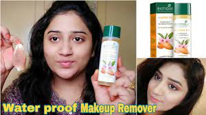 biotique almond oil makeup cleanser