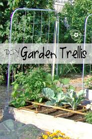 Going Buggy Diy Garden Trellis
