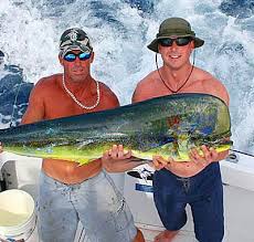 Costa Rica Fish Species Chart Los Suenos Fishing Charters