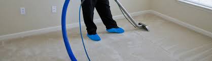 carpet cleaning rocklin pro team