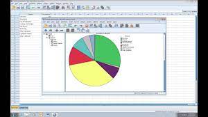 spss pie chart you