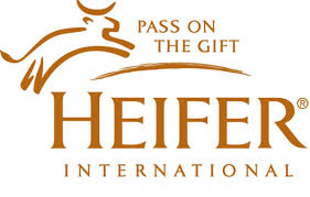 150 heifer international gift