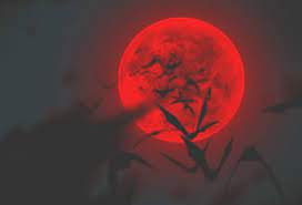 Before perishing, to make sure it didn't fall into the wrong hands, jiraiya set a trap that only his student, minato, could get through. Bad Moon Rising Tv Tropes
