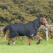 avante 170g fixed neck turnout rug grey