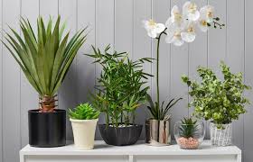 how to decorate with artificial plants