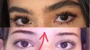 grow eyebrows thicker