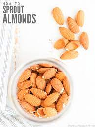 diy sprouting almonds giving your